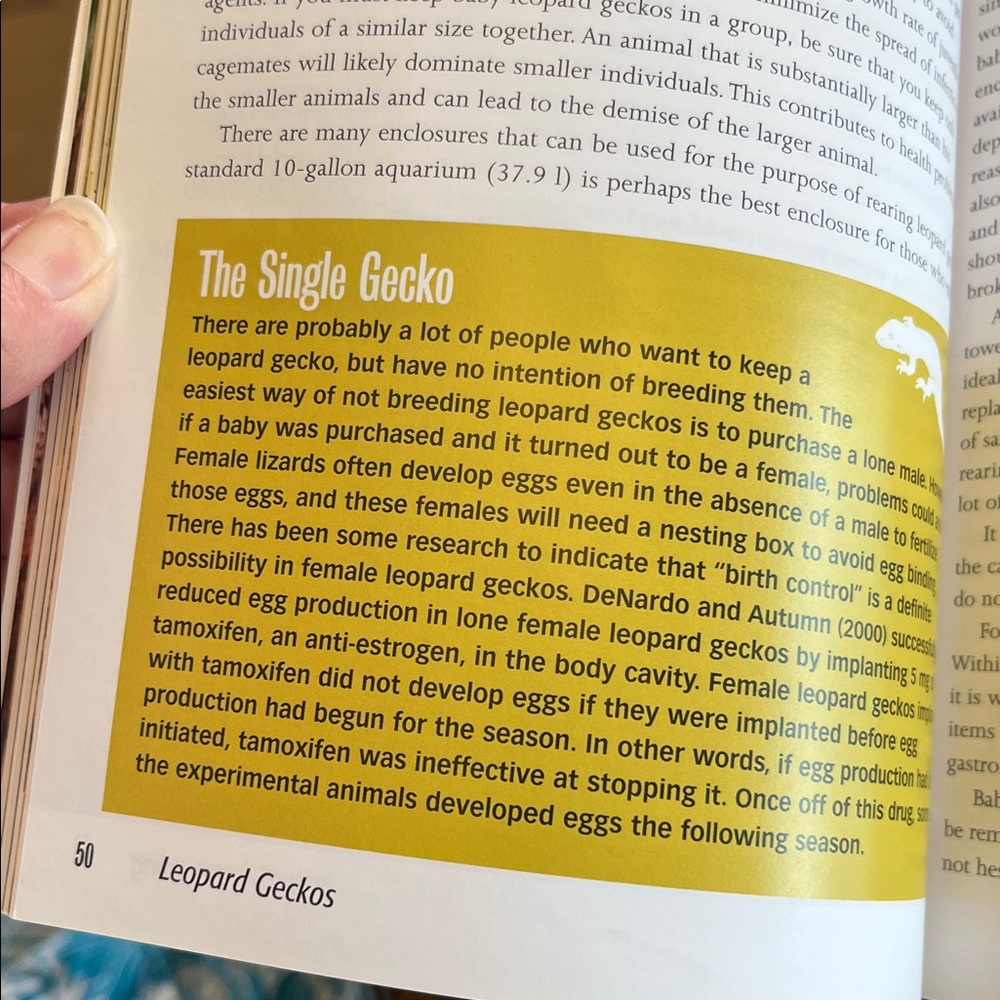 Leopard Geckos Guide Book - Picture 7 of 9